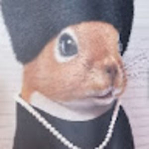 Meet your Posher, Matthew